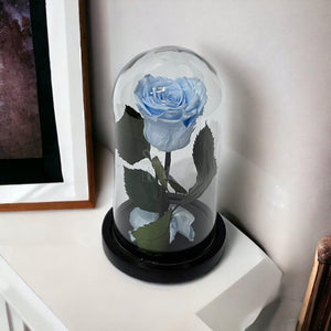 Trandafir Criogenat XL Bleu În Cupolă de Sticlă 10x20cm - Kdeco.ro