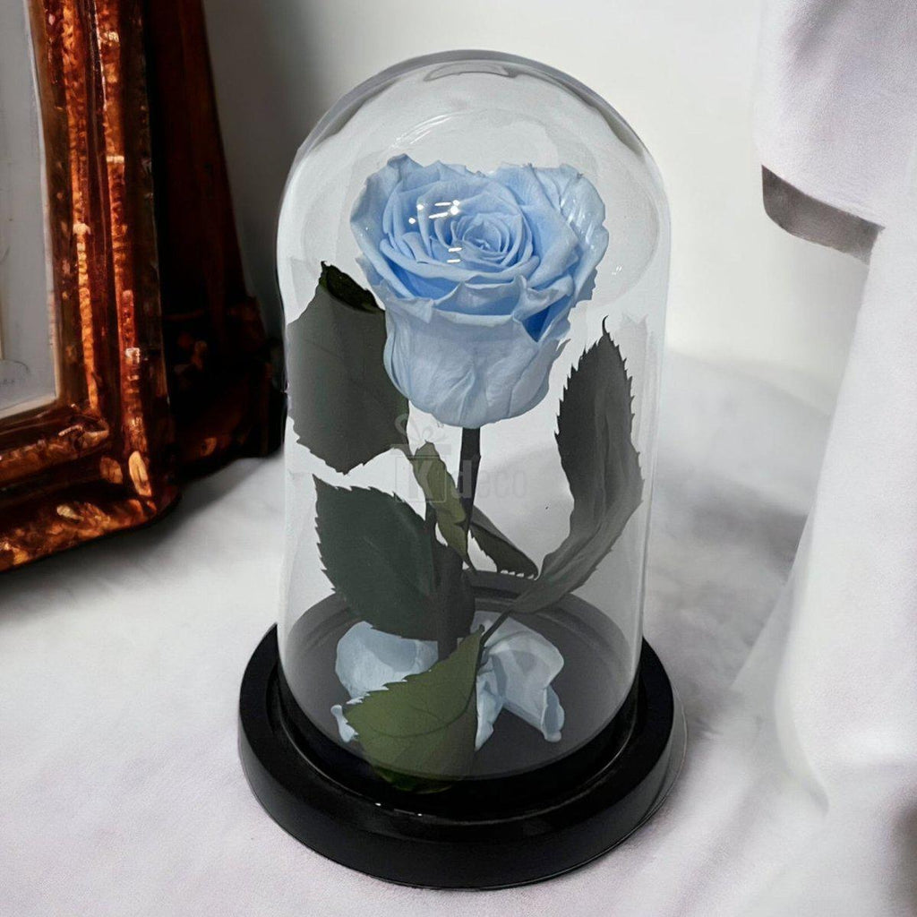 Trandafir Criogenat XL Bleu În Cupolă de Sticlă 10x20cm - Kdeco.ro