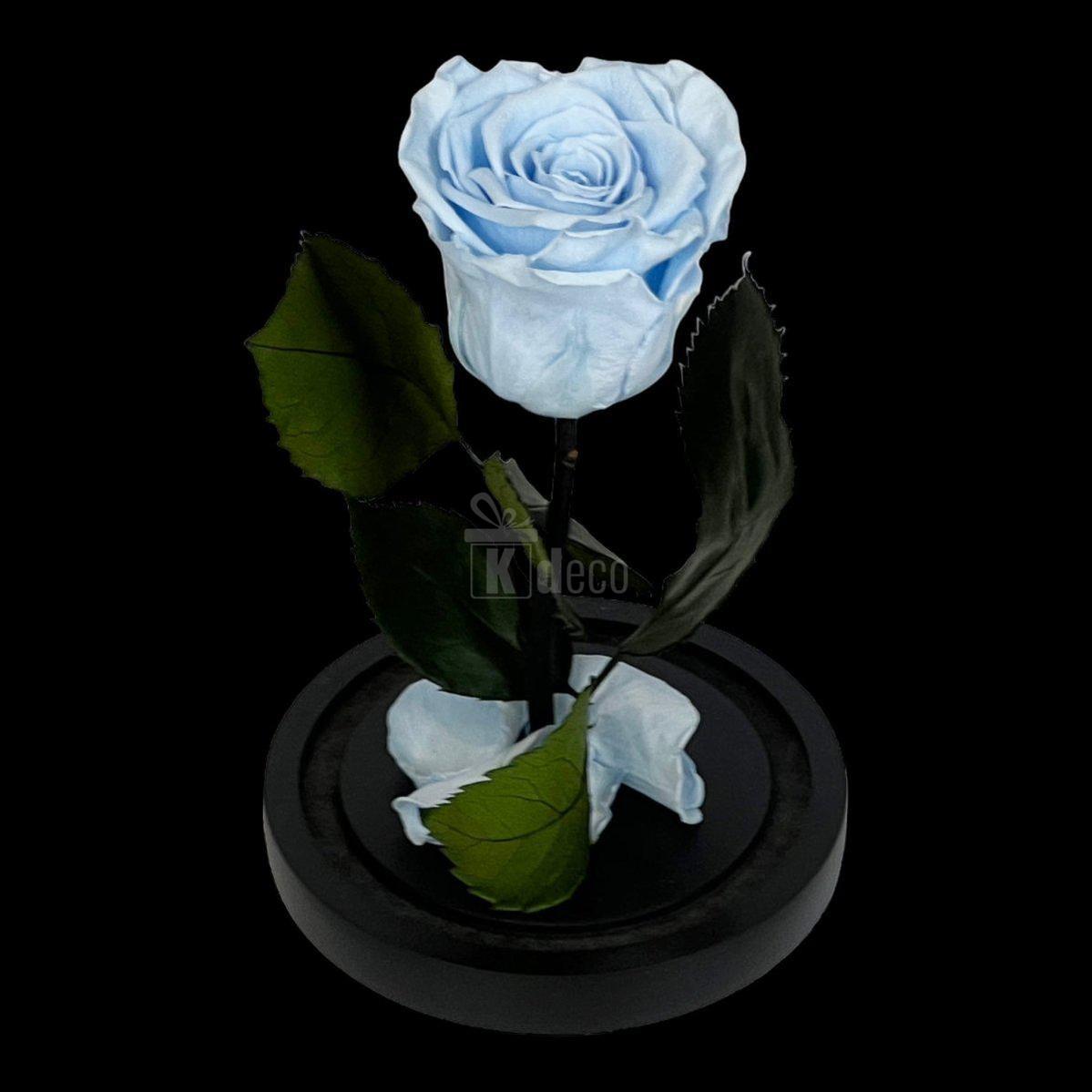 Trandafir Criogenat XL Bleu În Cupolă de Sticlă 10x20cm - Kdeco.ro