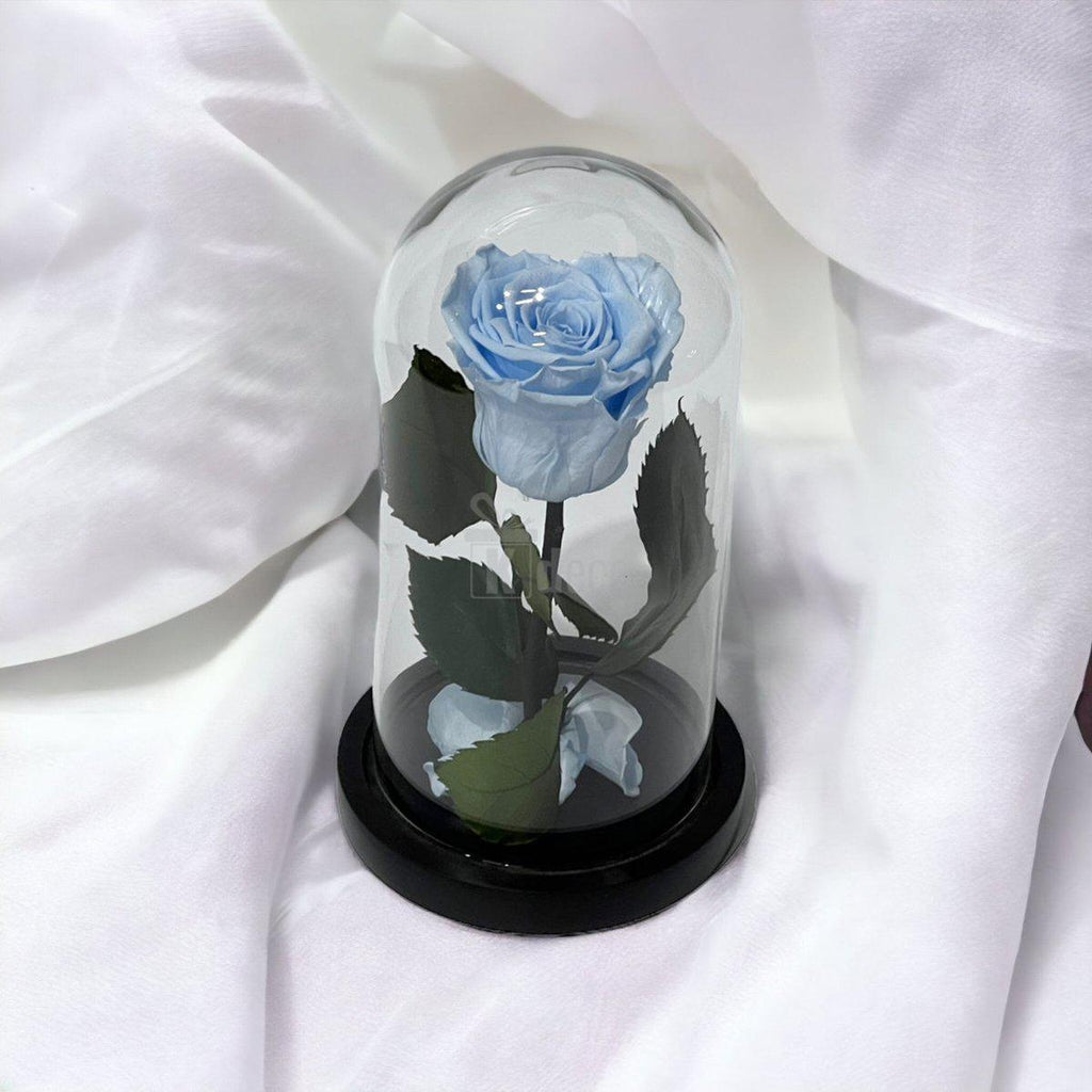 Trandafir Criogenat XL Bleu În Cupolă de Sticlă 10x20cm - Kdeco.ro