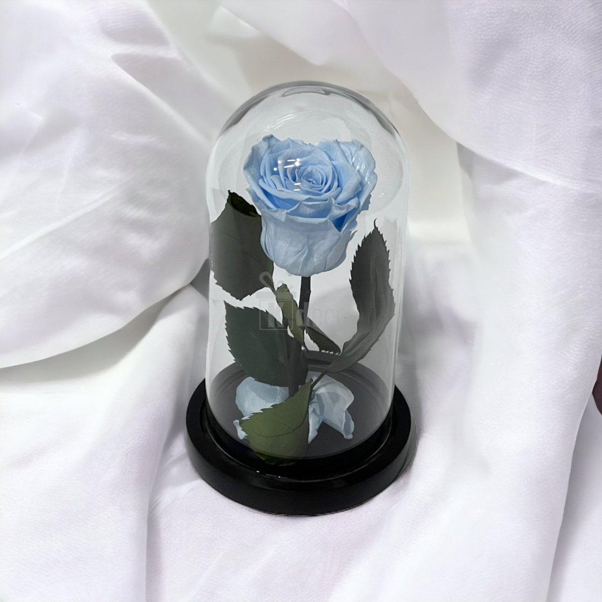 Trandafir Criogenat XL Bleu În Cupolă de Sticlă 10x20cm - Kdeco.ro