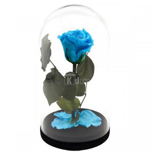 Trandafir Criogenat XL bleu Ø6,5cm in cupola 12x25cm - Kdeco.ro