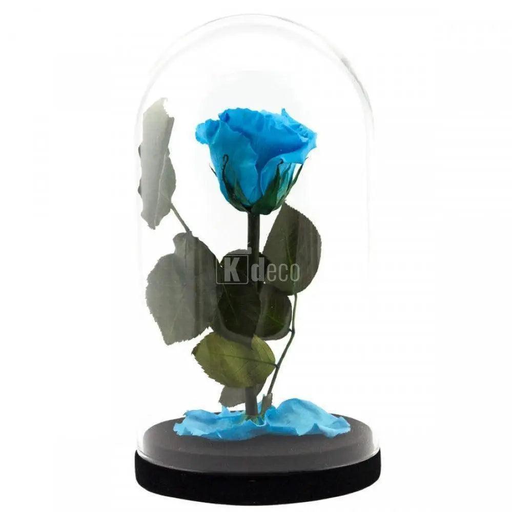 Trandafir Criogenat XL bleu Ø6,5cm in cupola 12x25cm - Kdeco.ro