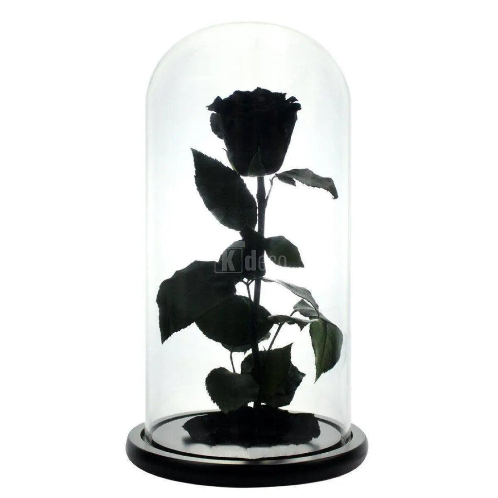 Trandafir Criogenat XL negru Ø6,5cm, cupola sticla 12x25cm - Kdeco.ro