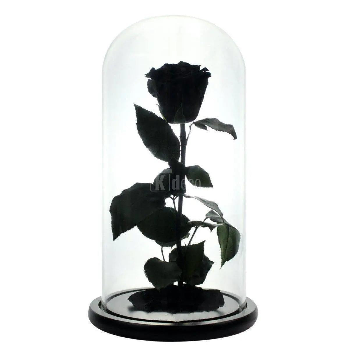 Trandafir Criogenat XL negru Ø6,5cm, cupola sticla 12x25cm - Kdeco.ro