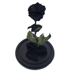 Trandafir Criogenat XL negru Ø6,5cm, cupola sticla 12x25cm - Kdeco.ro