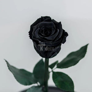 Trandafir Criogenat XL negru Ø6,5cm in cupola 10x20cm - Kdeco.ro