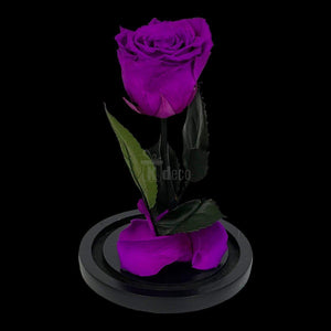 Trandafir Criogenat XL Purpuriu Deschis în Cupolă de Sticlă, Ø6,5cm, Cadou Ideal pentru Ocazii Speciale - Kdeco.ro