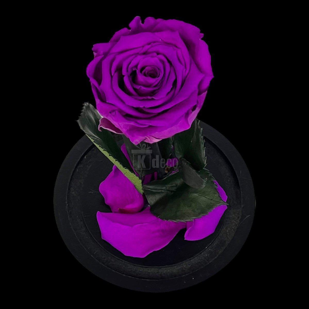Trandafir Criogenat XL Purpuriu Deschis în Cupolă de Sticlă, Ø6,5cm, Cadou Ideal pentru Ocazii Speciale - Kdeco.ro