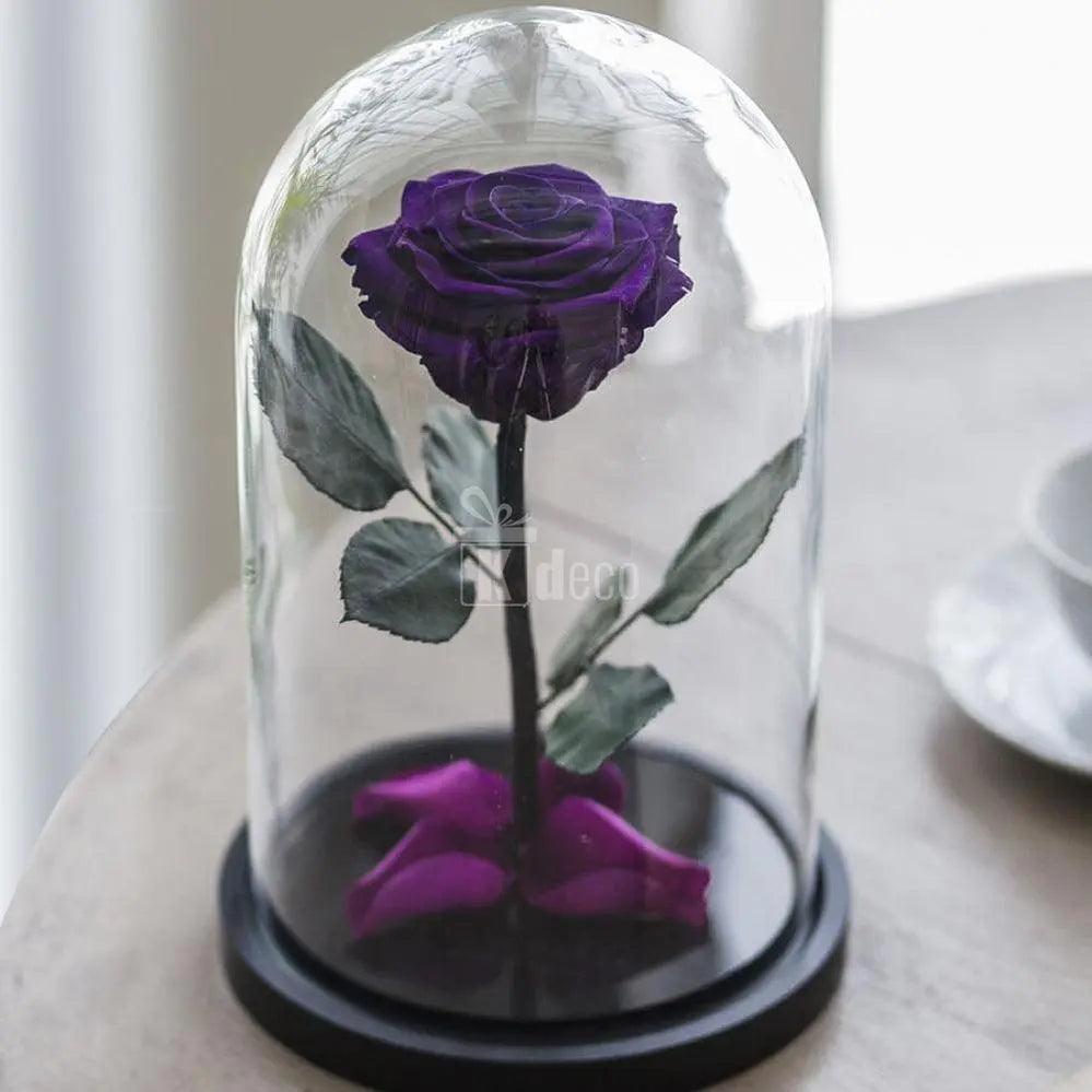 Cupole de sticla cu trandafiri criogenati