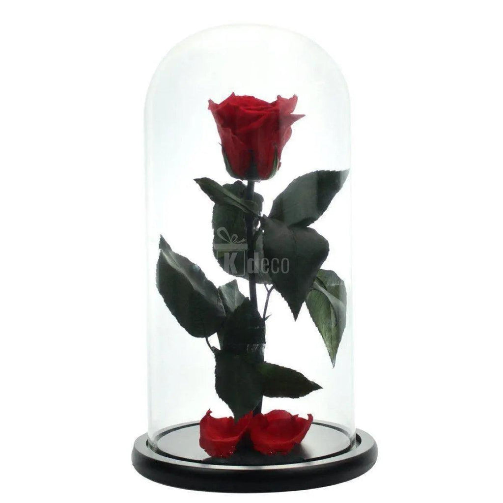 Trandafir Criogenat XL rosu Ø6,5cm, cupola sticla 12x25cm - Kdeco.ro