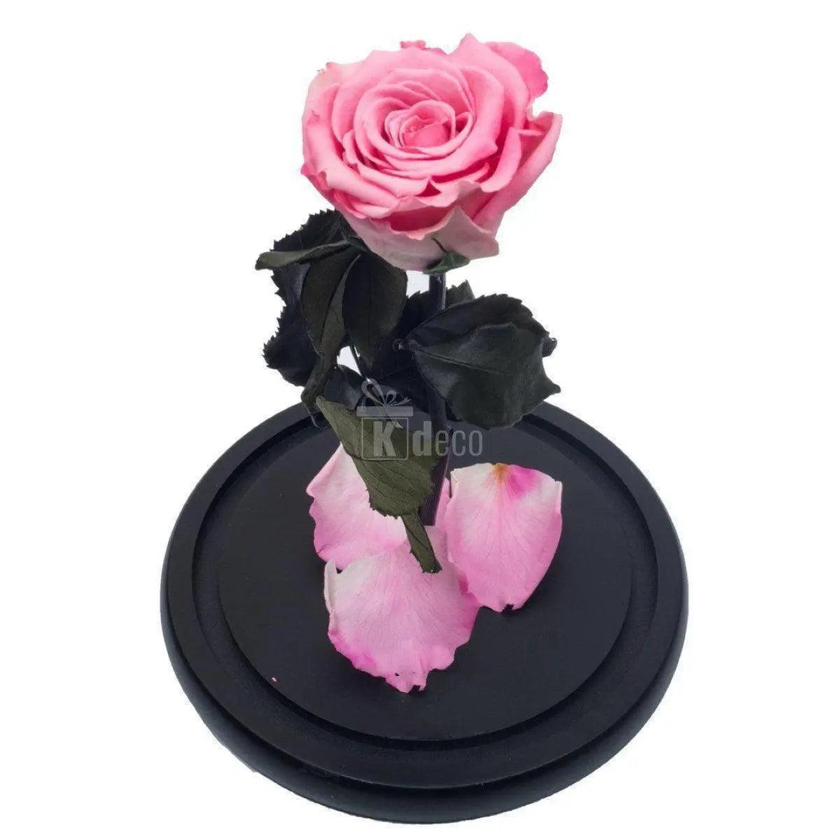 Trandafir Criogenat XL roz Ø6,5cm, cupola sticla 12x25cm - Kdeco.ro