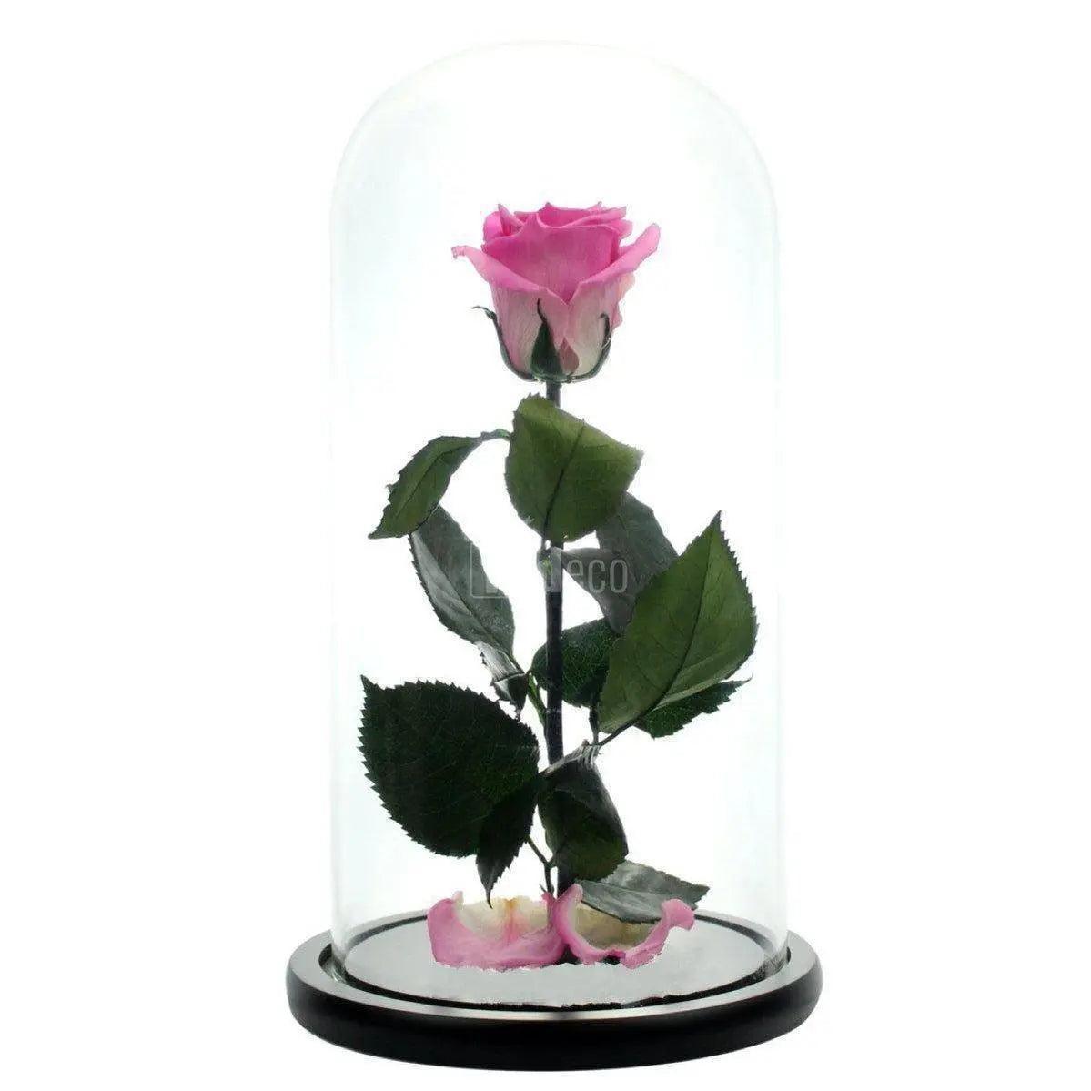 Trandafir Criogenat XL roz Ø6,5cm, cupola sticla 12x25cm - Kdeco.ro