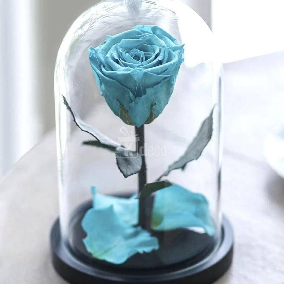 Trandafir criogenat XL turcoaz în cupolă de sticlă pe suport negru, decor cadou elegant și nemuritor pentru femei. Ideal pentru aniversări sau Valentine's Day.