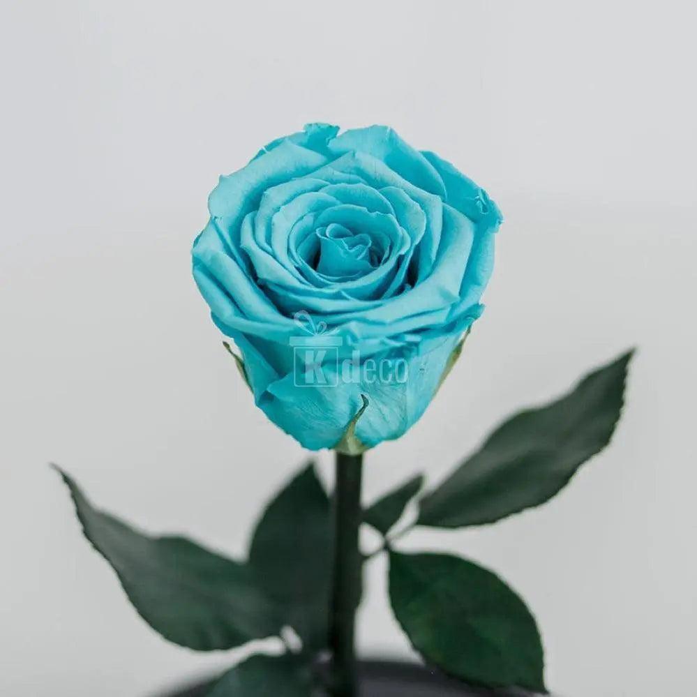 Detaliu trandafir criogenat XL turcoaz cu frunze verzi, simbol al iubirii eterne, perfect pentru cadouri personalizate și aranjamente florale deosebite.
