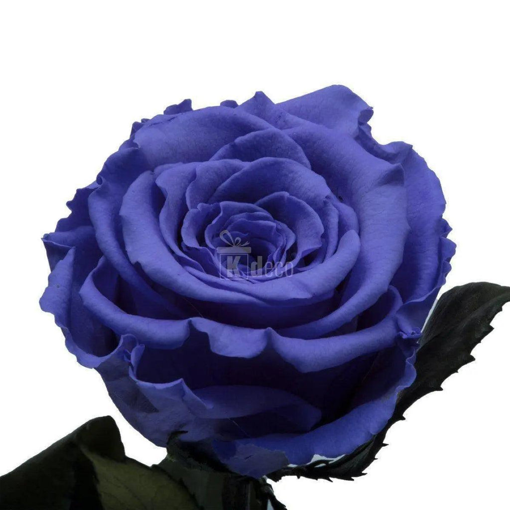 Trandafir Criogenat XL violet Ø6,5cm in cupola 12x25cm - Kdeco.ro