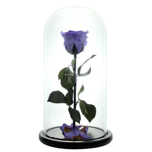 Trandafir Criogenat XL violet Ø6,5cm in cupola 12x25cm - Kdeco.ro