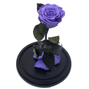 Trandafir Criogenat XL violet Ø6,5cm in cupola 12x25cm - Kdeco.ro