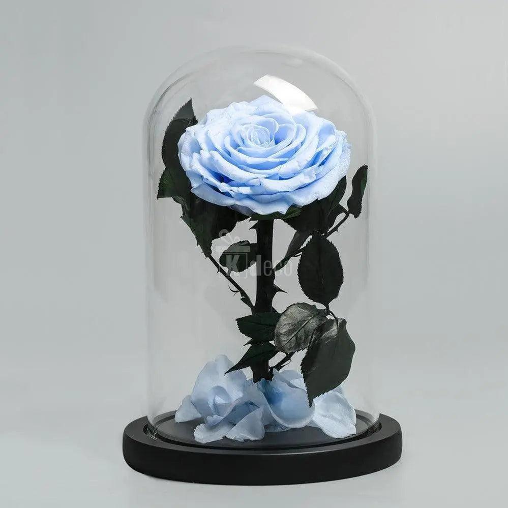 Trandafir Criogenat XXL bleu Ø9,5cm in cupola sticla 15x25cm - Kdeco.ro