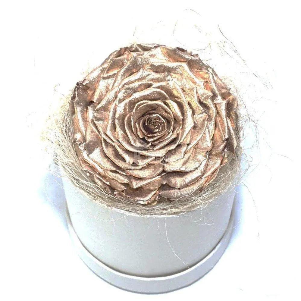 Trandafir Criogenat XXL gold Ø9-9,5cm in cutie rotunda, cadou - Kdeco.ro