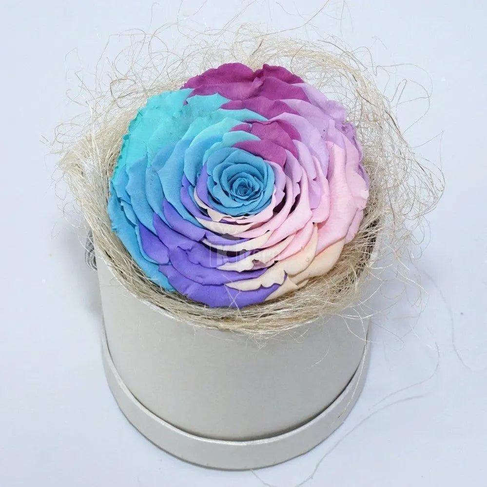 Trandafir Criogenat xxl multicolor Ø9-9,5cm in cutie - Kdeco.ro