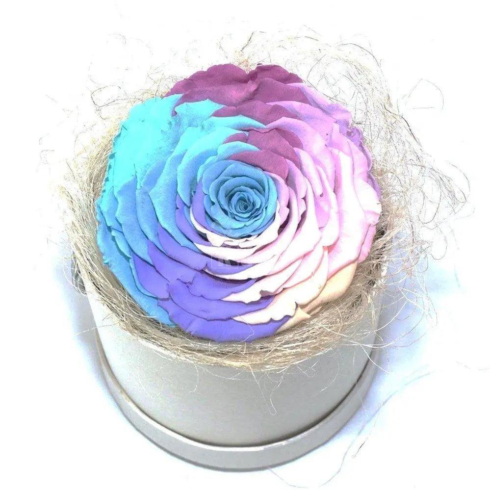 Trandafir Criogenat xxl multicolor Ø9-9,5cm in cutie - Kdeco.ro