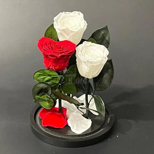 Trandafiri Criogenati 2 albi si 1 rosu in forma de inima - Kdeco.ro