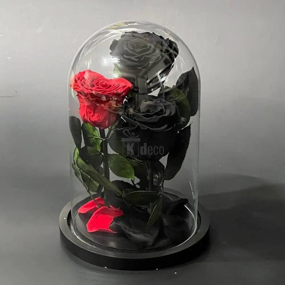 Trandafiri Criogenati 2 negrii si 1 rosu in forma de inima - Kdeco.ro