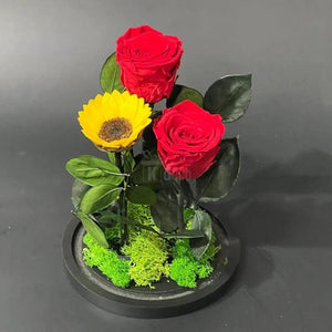 Trandafiri Criogenati rosii si Floarea Soarelui Criogenata - Kdeco.ro